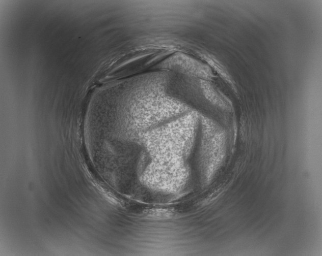 X0000082960449200702152310