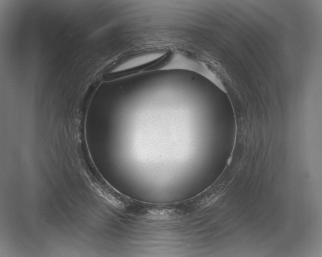 X0000082960450200702152310