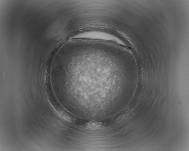 X0000082960451200702152310