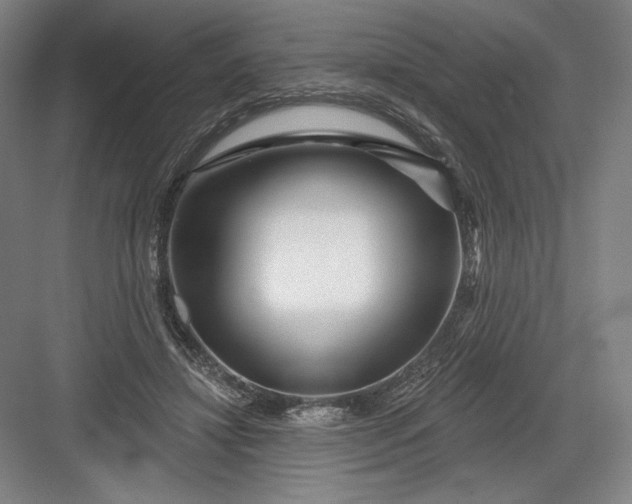 X0000082960452200702152310