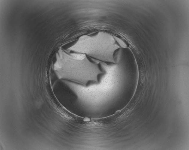 X0000082960453200702152310