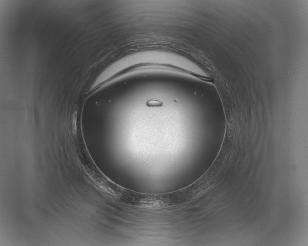 X0000082960454200702152310