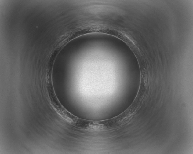 X0000082960455200702152310