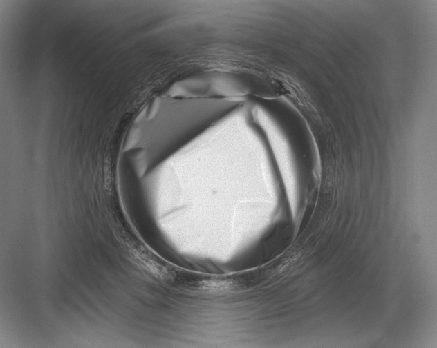 X0000082960457200702152310