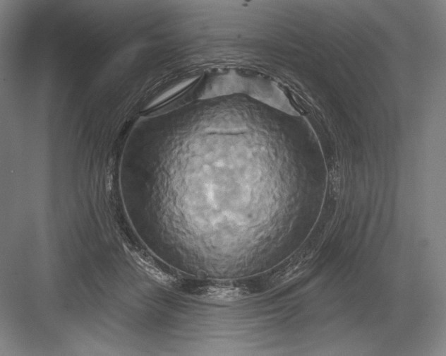 X0000082960458200702152310