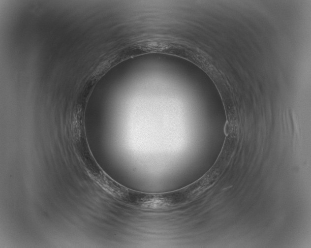 X0000082960460200702152310