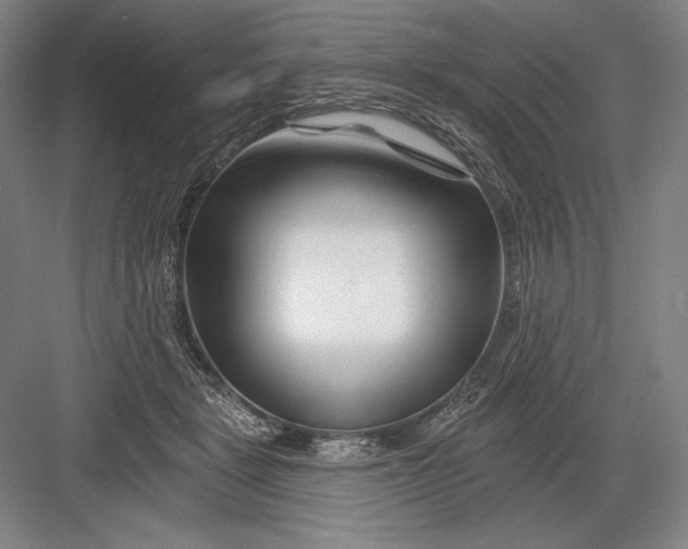 X0000082960461200702152310