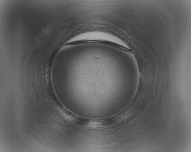 X0000082960462200702152310