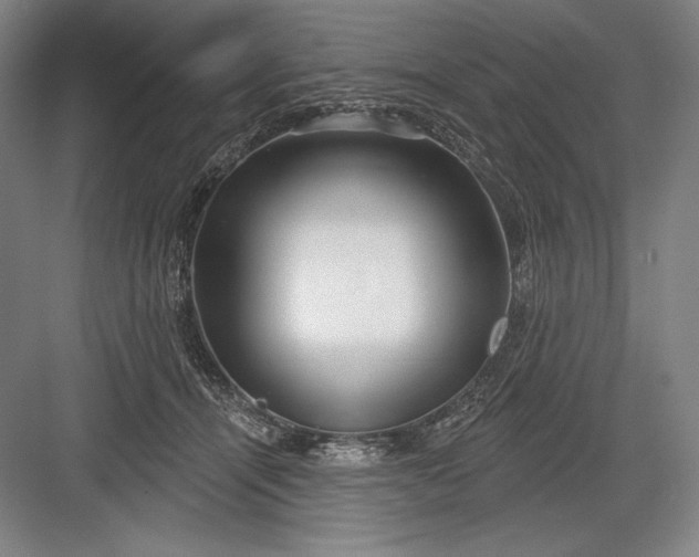 X0000082960464200702152310