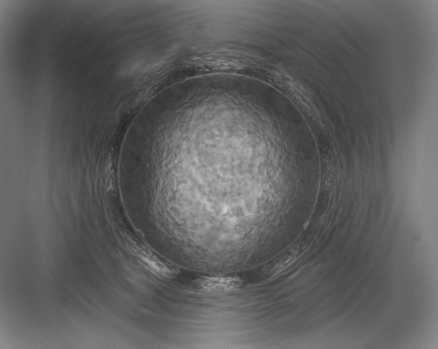 X0000082960465200702152310