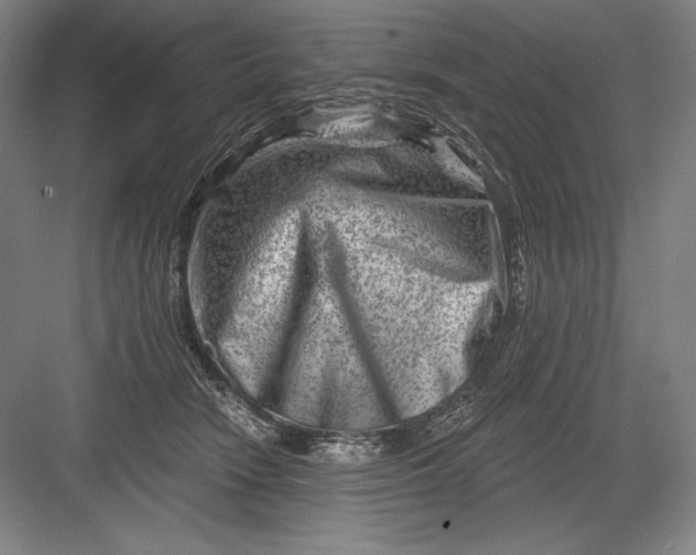 X0000082960466200702152310