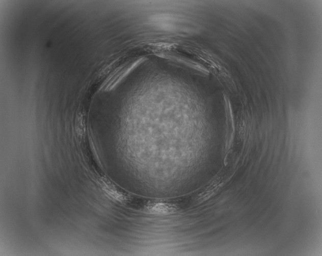 X0000082960467200702152310