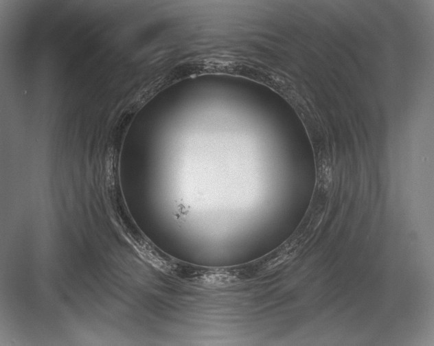 X0000082960468200702152310