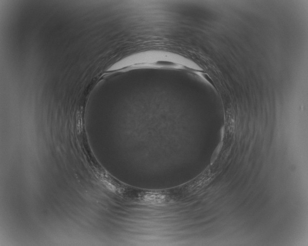 X0000082960471200702152310