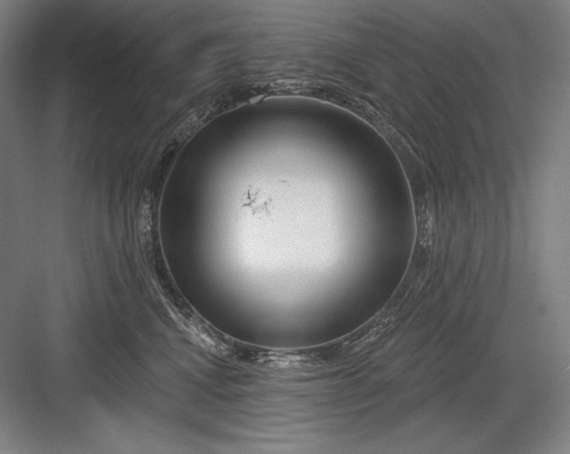 X0000082960472200702152310