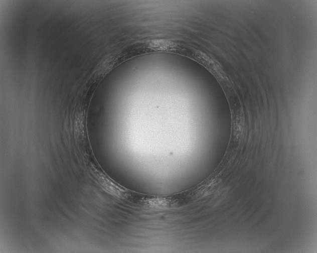 X0000082960473200702152310