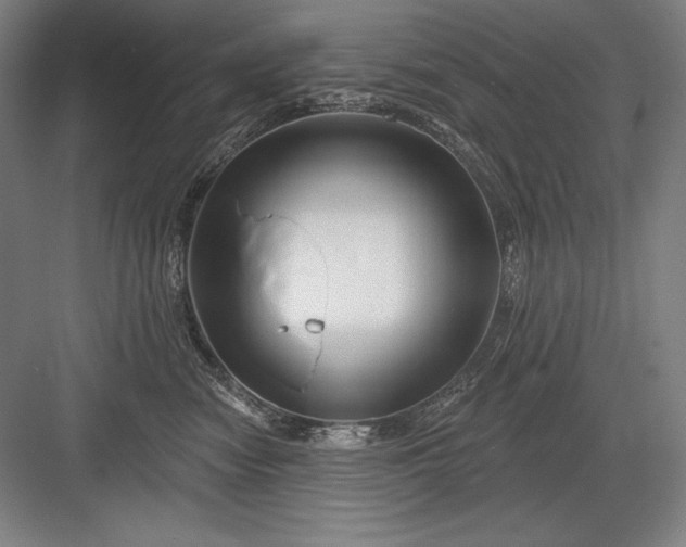 X0000082960474200702152310