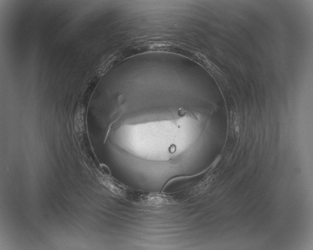 X0000082960475200702152310