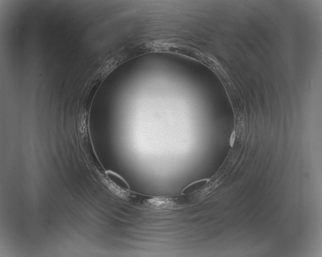 X0000082960477200702152311