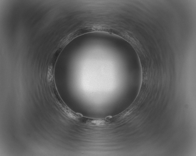 X0000082960478200702152311