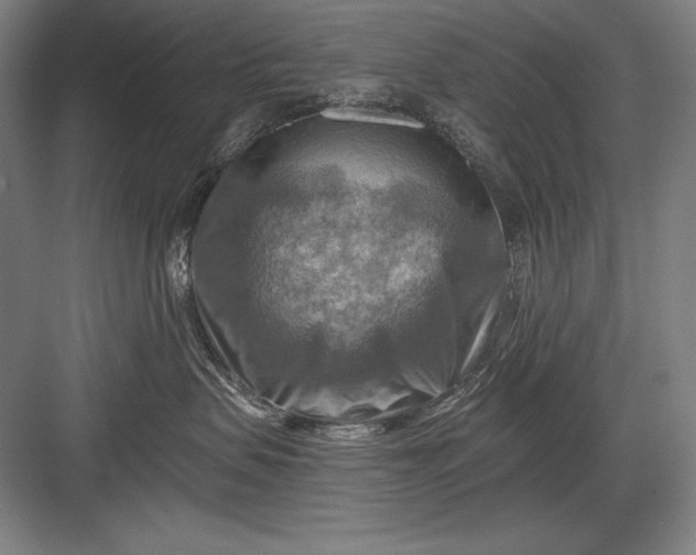 X0000082960479200702152311