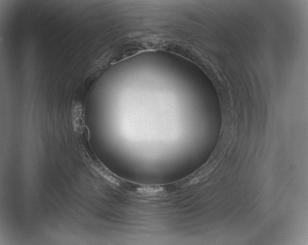 X0000082960480200702152311