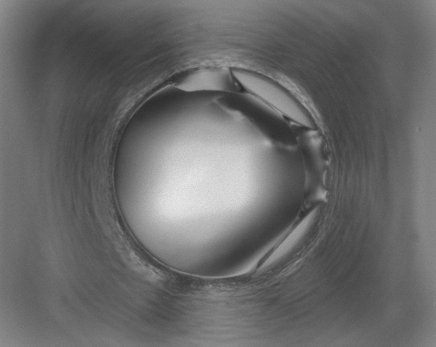 X0000082960481200702152310