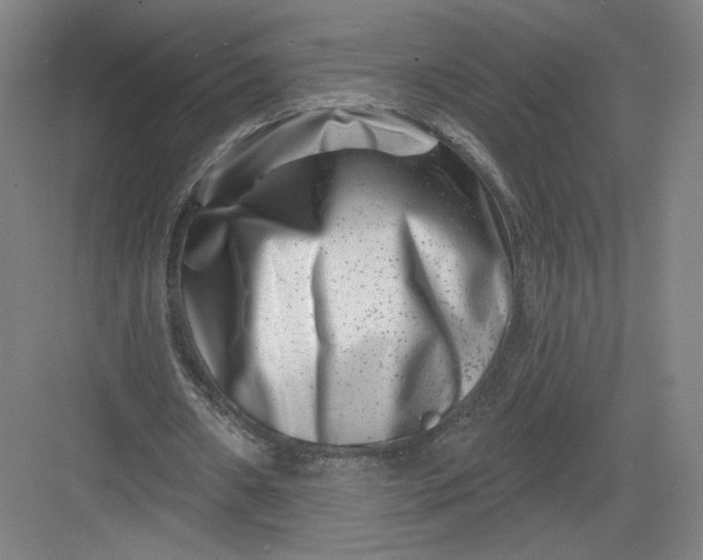 X0000082960482200702152310