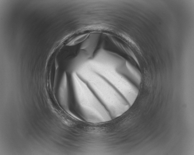 X0000082960486200702152310