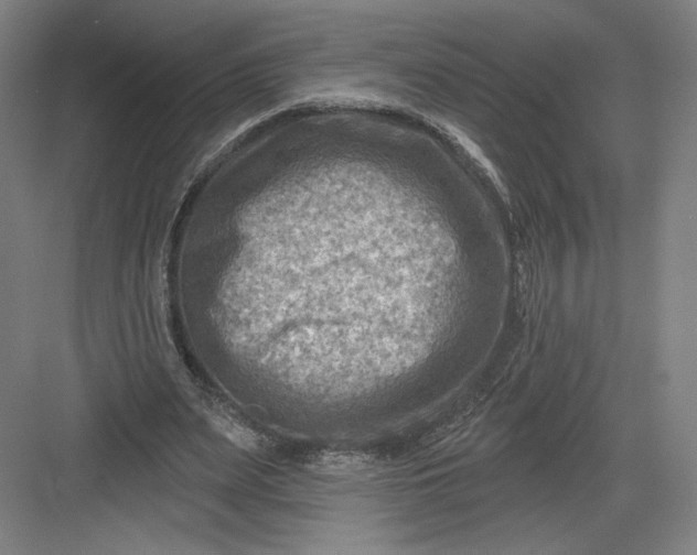 X0000082960487200702152310