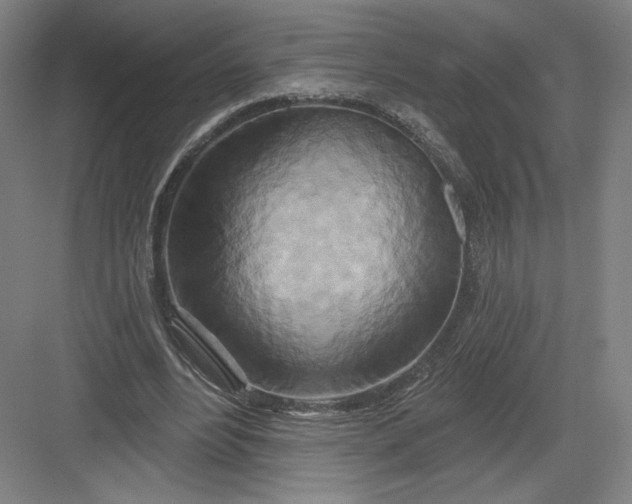 X0000082960488200702152310