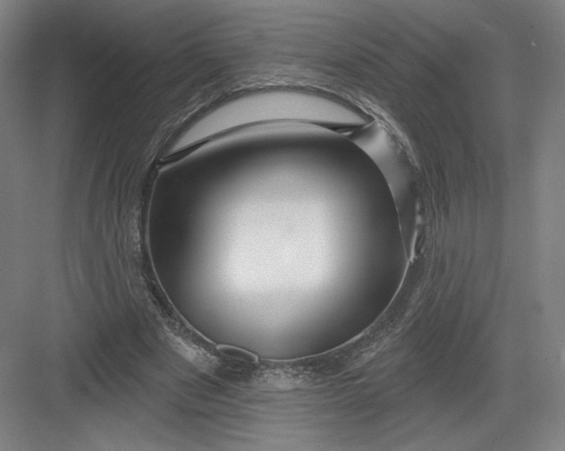 X0000082960489200702152310