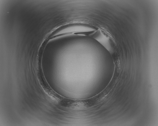 X0000082960492200702152310