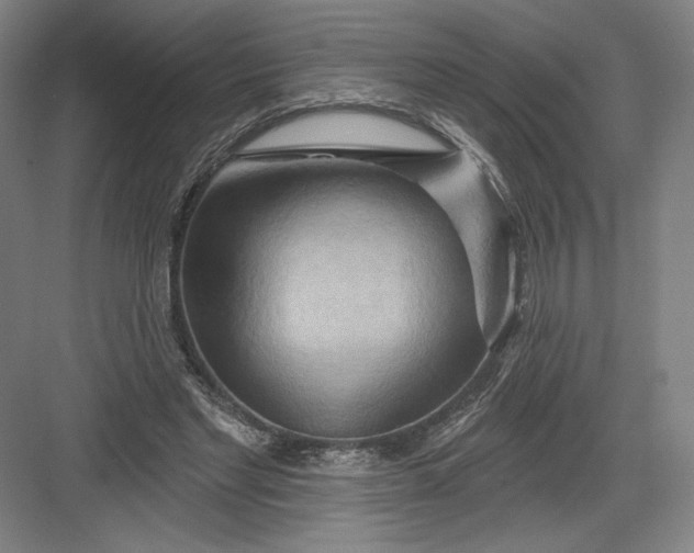 X0000082960493200702152310