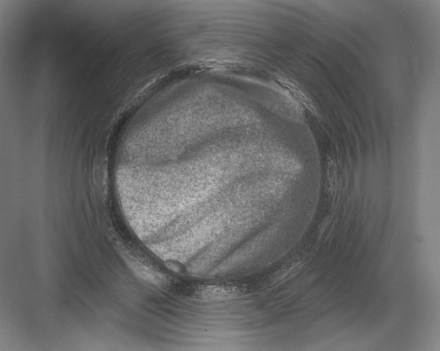 X0000082960494200702152310