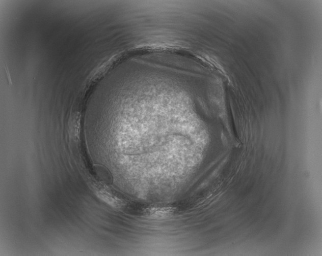 X0000082960495200702152310