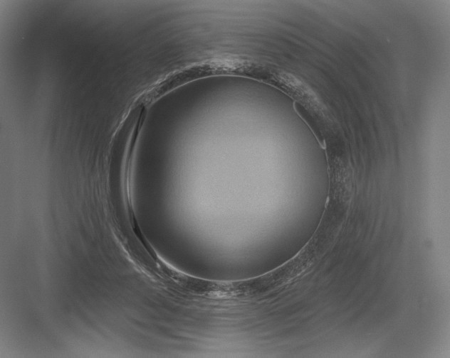 X0000082960496200702152309