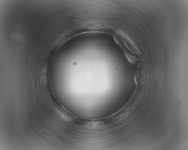 X0000082960497200702152309