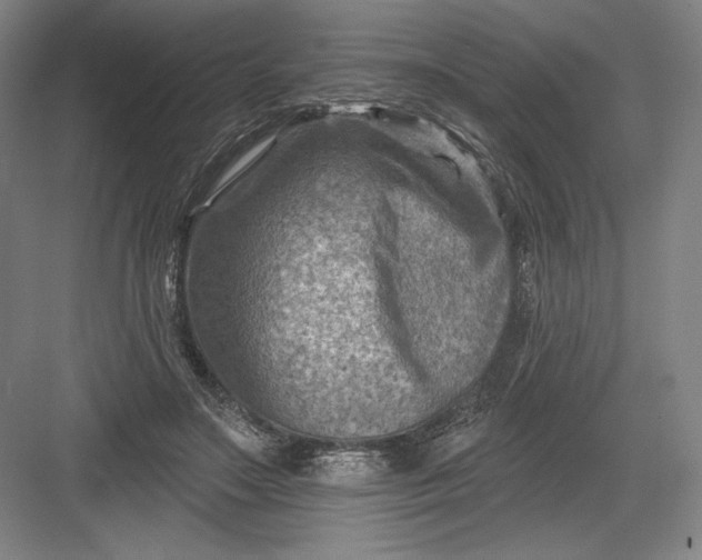 X0000082960499200702152309