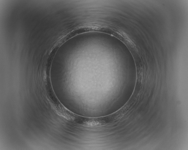 X0000082960500200702152309