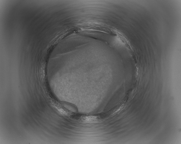 X0000082960501200702152309