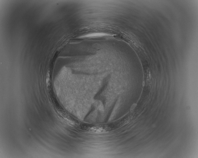 X0000082960502200702152309