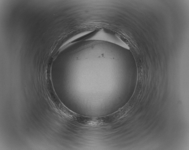 X0000082960504200702152309