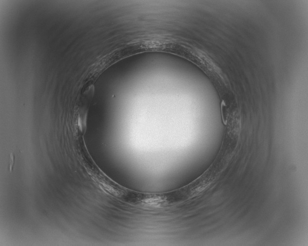 X0000082960505200702152309