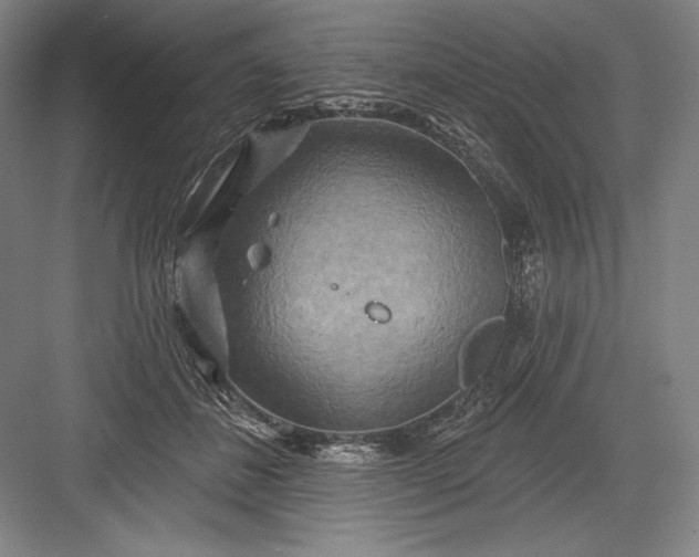 X0000082960508200702152309