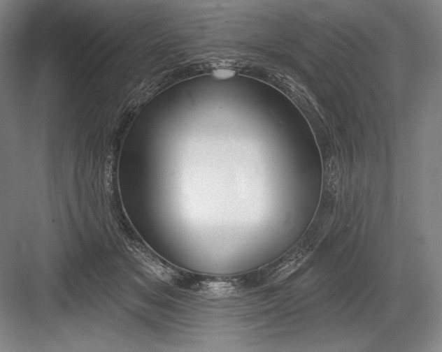 X0000082960509200702152309