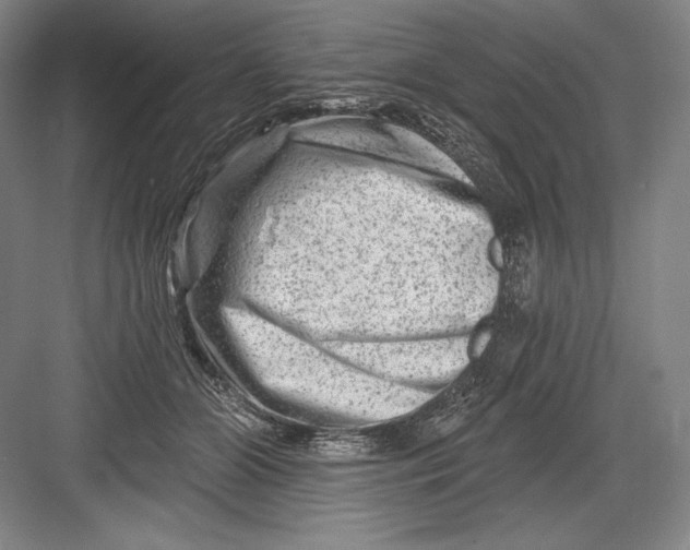 X0000082960510200702152309