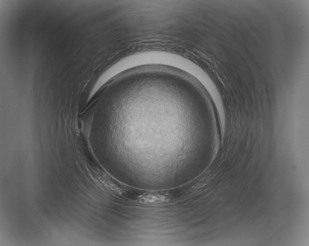 X0000082960512200702152309