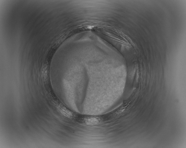 X0000082960513200702152309