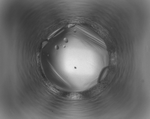 X0000082960514200702152309